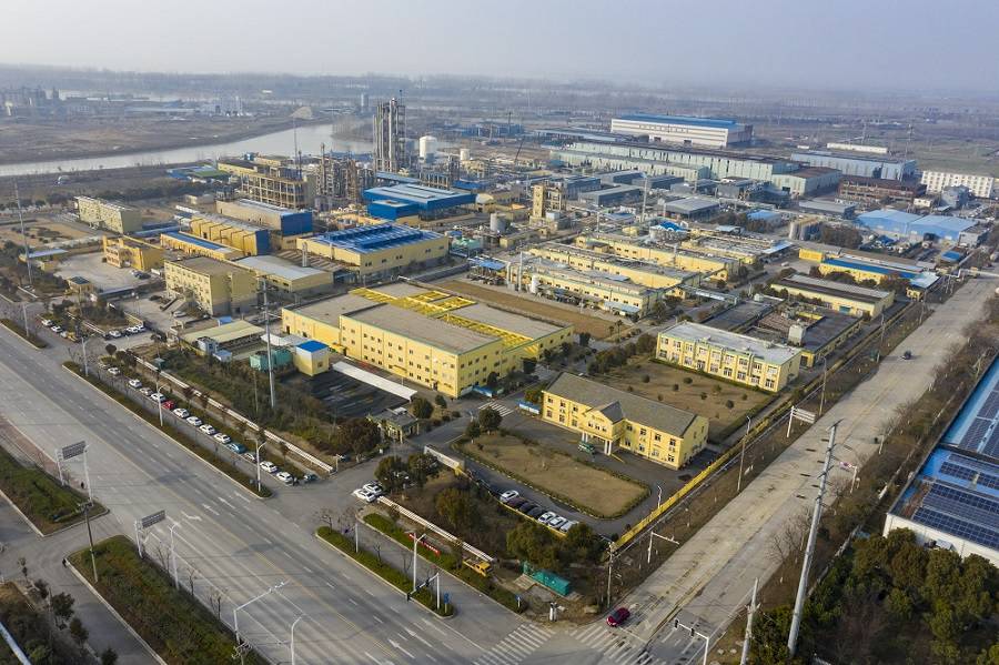 乐鱼网页版登录入口-乐鱼(中国)药业首次公开发行股票并上市辅导备案信息公示